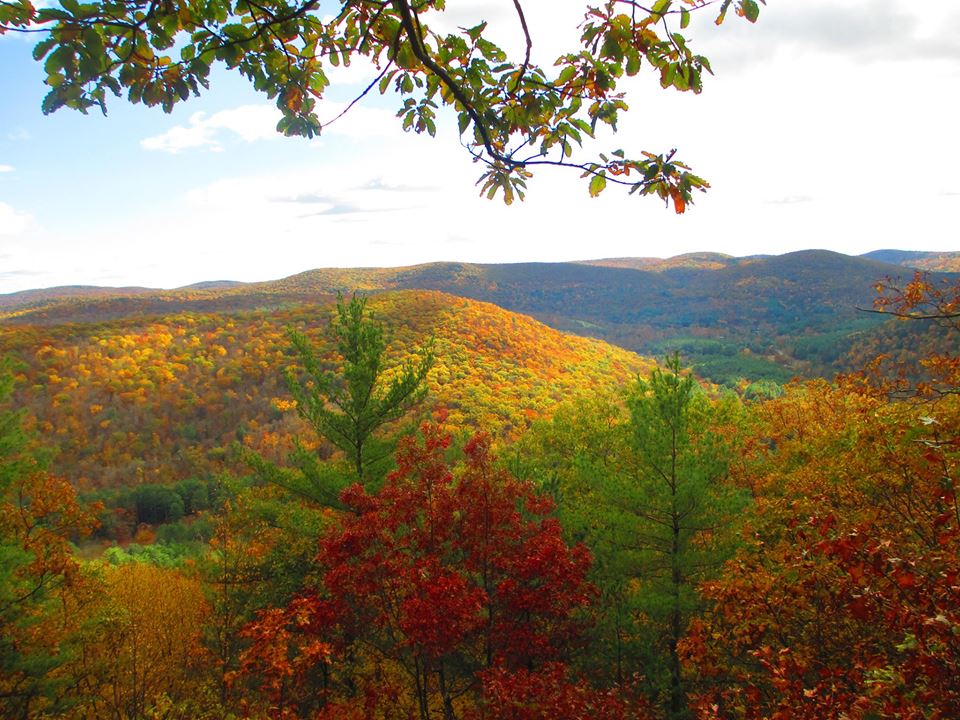 Housatonic State Forest Visit CT